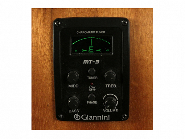 VIOLA GIANNINI ELETRICO LOURO FAIA VS1 FAIA EQ NS