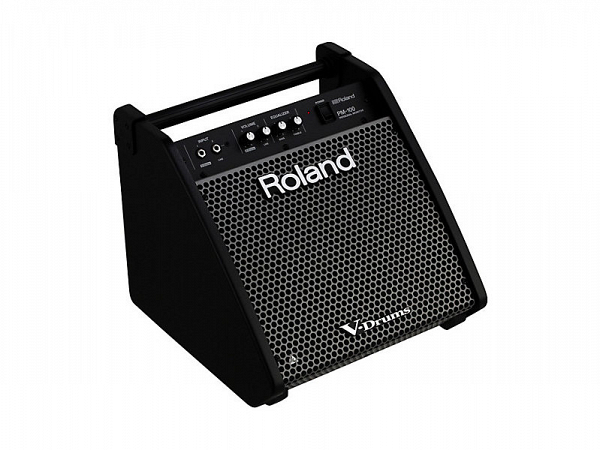 CUBO ROLAND MONITOR PM 100